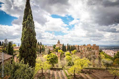 palace of alhambra, granada with cypress