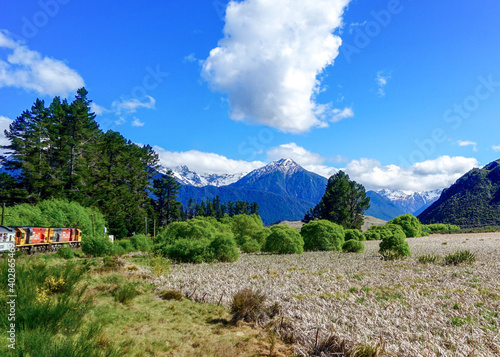 New Zealand, South Island, on the Transalpine train over the Arthur’s Pass from Wellington to Mount Cook Village.