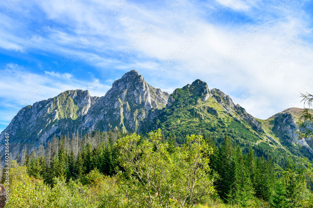 Zakopane widok z czerwonego szlaku 