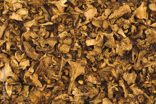 The texture of dry chanterelle mushrooms. Close-up