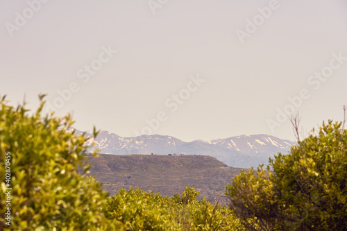 Olive Grove and Mountains in the background.