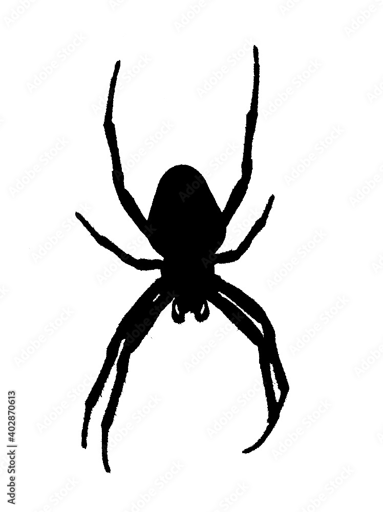 Vector showing the silhouette of a spider Vector showing the silhouette of a spider