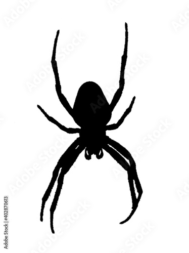 Vector showing the silhouette of a spider