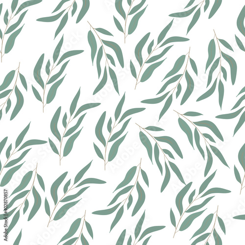 Fototapeta Naklejka Na Ścianę i Meble -  Eucaliptus pattern. Trendy branch and leaves green on light background seamless vector pattern.Abstract seamless pattern in vector design.