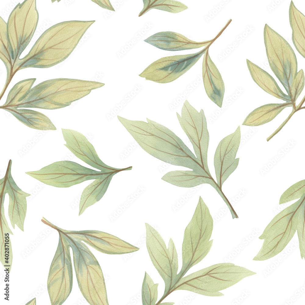 Seamless green peony leaves background. Green leaves on white. Watercolor illustration.