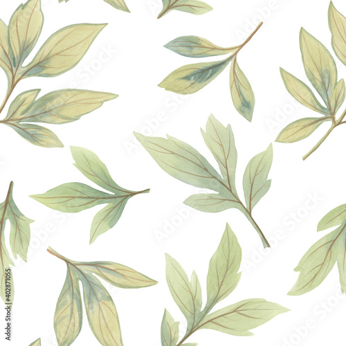 Seamless green peony leaves background. Green leaves on white. Watercolor illustration.