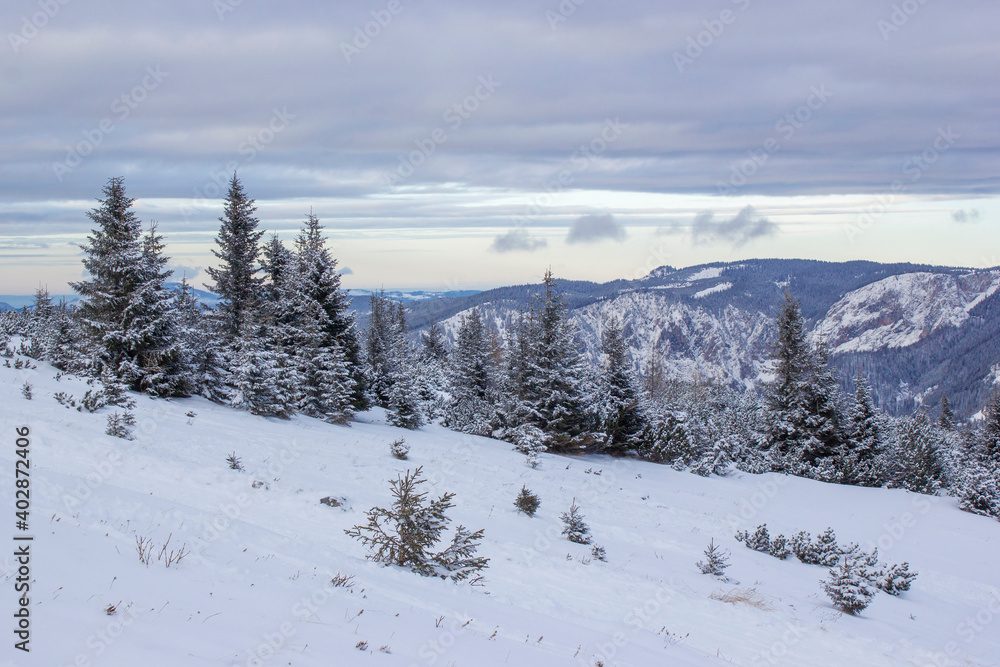 Winter landscape - Rax Mountain in the Austrian Alps, Austria