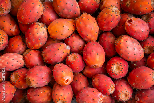 Fresh organic fruits of prickly pear or opuntia in a box, just collected