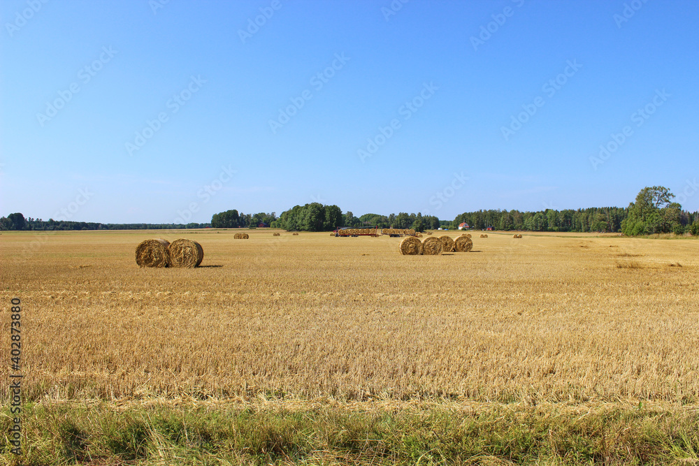 Hay bales and field stubble