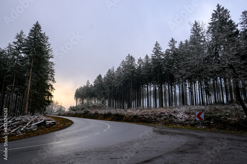 Road in frozen tree forest in europe.