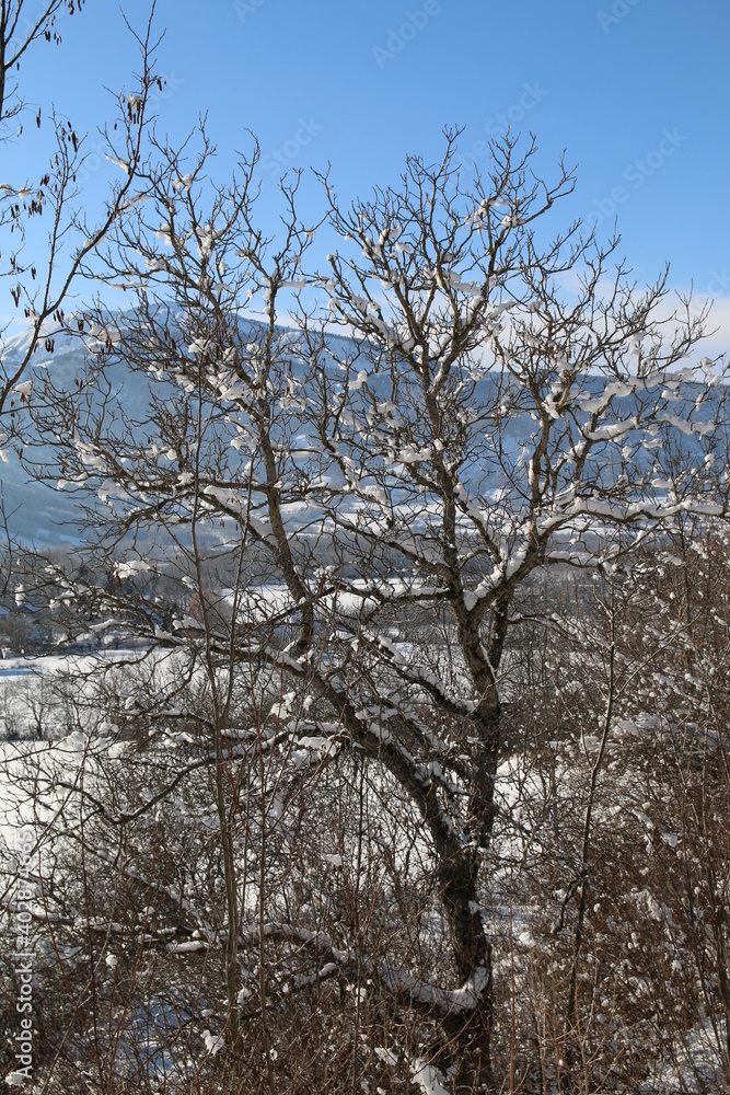 ALPES ALPES