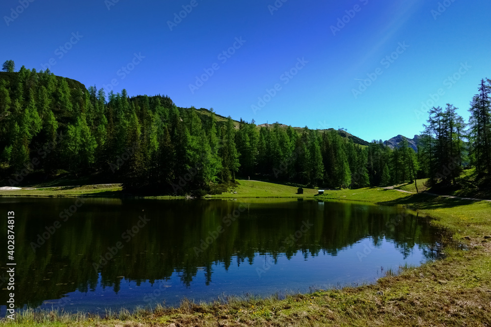blue sky trees and mountains with reflection in a lake