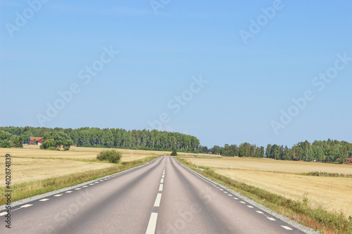 Country road in a summer day in sweden