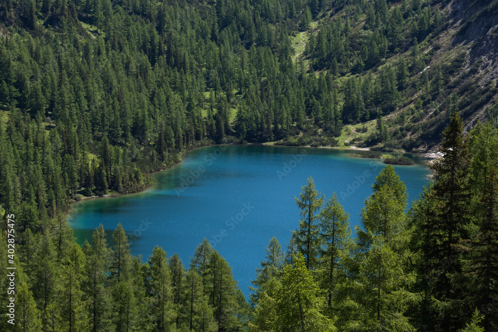 beautiful blue green mountain lake between pinetrees while hiking