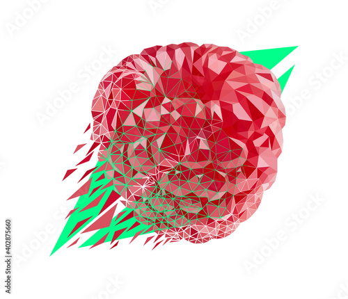 Vector raspberry in low poly style