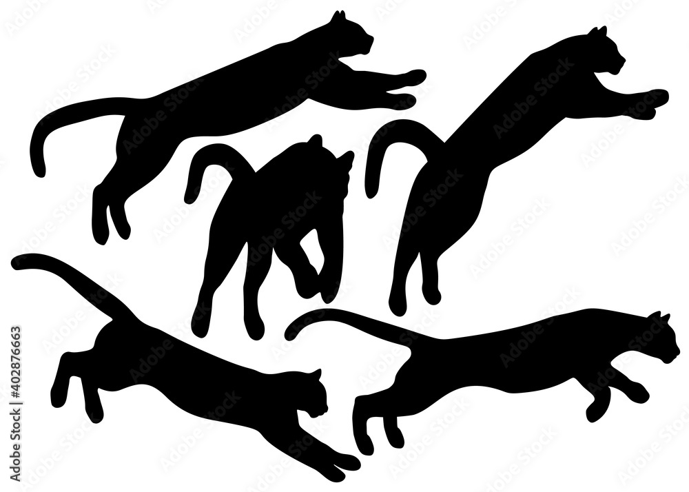 Naklejka premium Wild puma in a jump set.