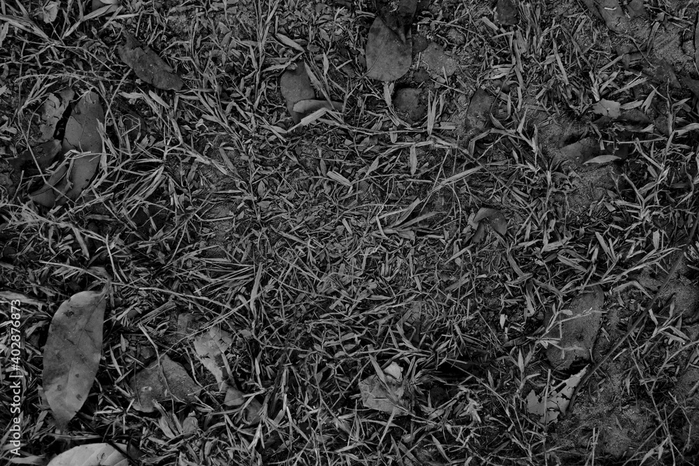 Black and white abstract texture background. Black and white abstract texture background.
