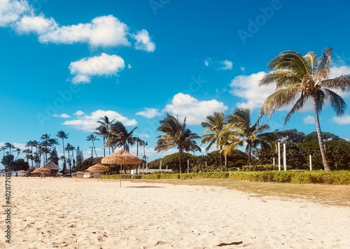 sandy beach with palm trees against the blue sky © nadyarakoca