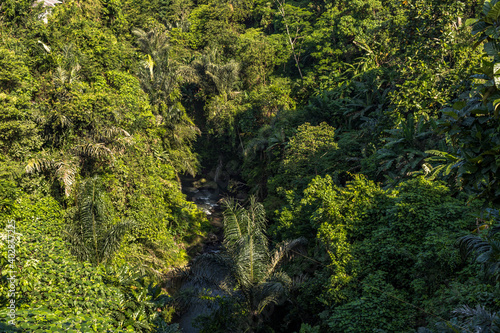 Rice terraces on Bali, Indonesia in Asia, beautiful landscapes in typical Bali green. Forest nature and rice cultivation