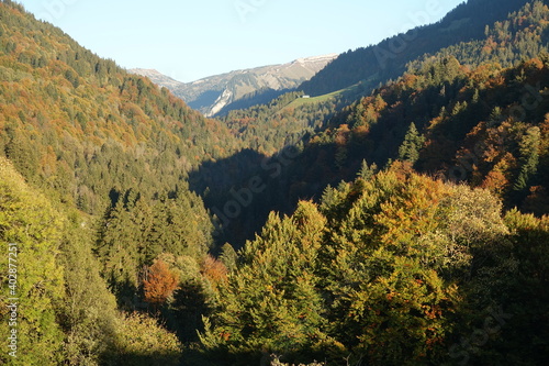 Herbst bei Bizau in Vorarlberg
