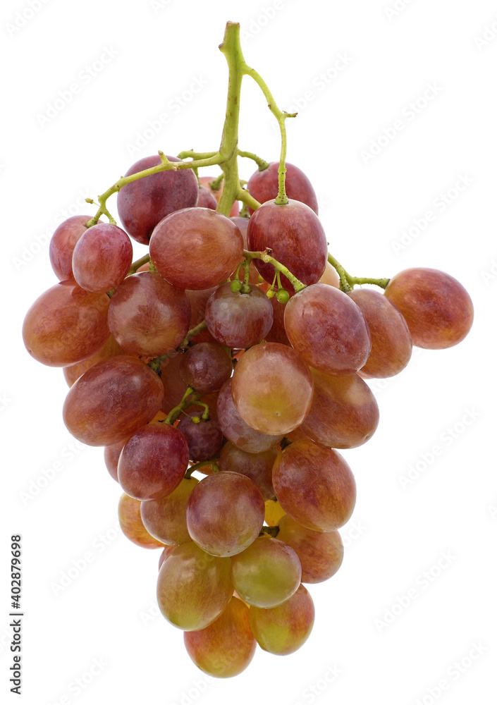 Fototapeta premium One bunch of grapes.