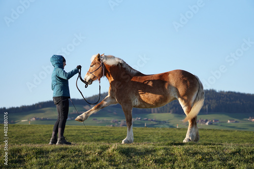 Woman trainer and dressage horse on mountain meadow © Talent for Adventure