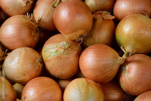 Close up and background of many ripe, dried onions that are for sale in the market