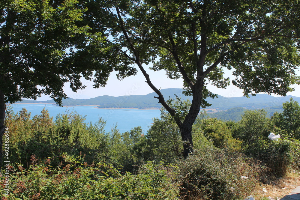 Obraz premium trees on the lake