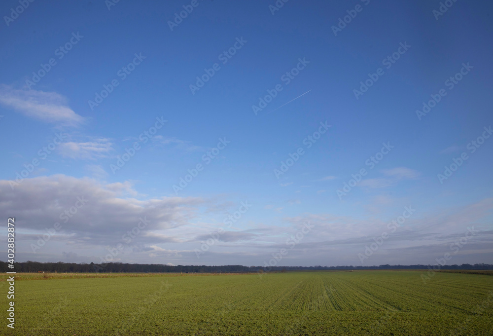 Meadow in winter. Es. Uffelte Drenthe Netherlands. Countryside.