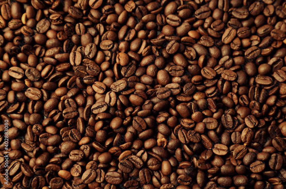 Roasted coffee beans Roasted coffee beans