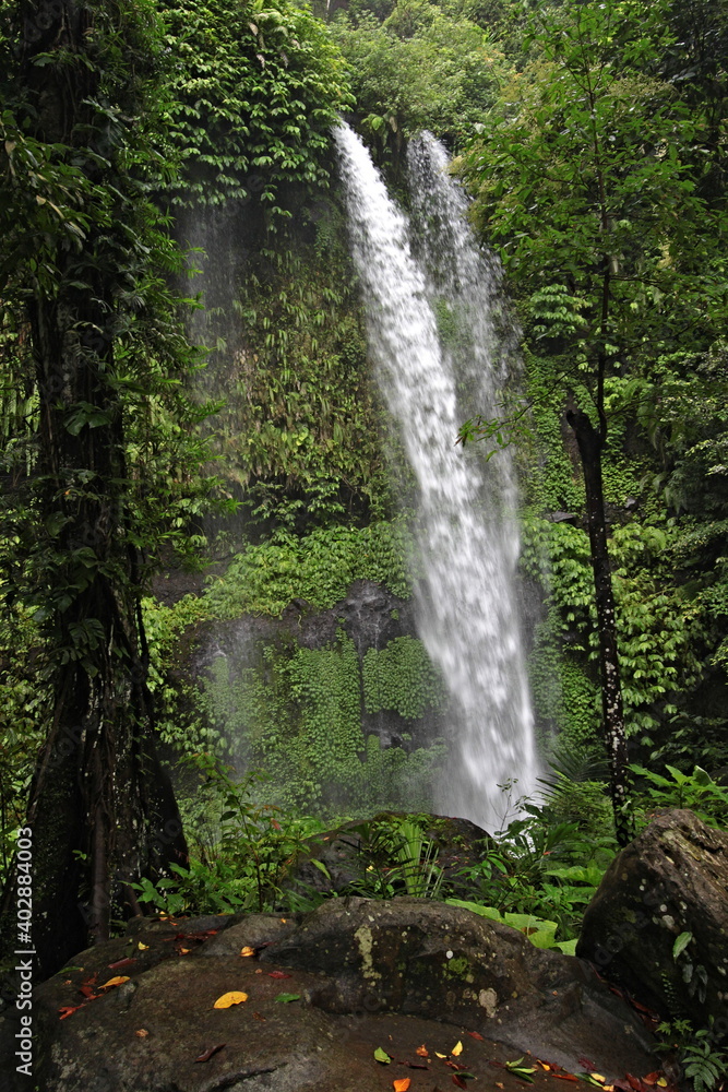 Obraz premium Sendang Gile waterfall near Senaru village. Lombok island. Indonesia. Asia.