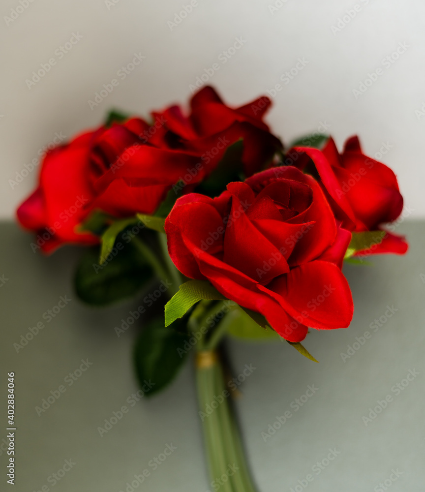 Red roses on top of a black and white background. Valentine's Day Red roses on top of a black and white background. Valentine's Day