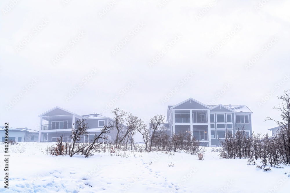 Foggy residential landscape with houses on ground blanketed with snow in winter