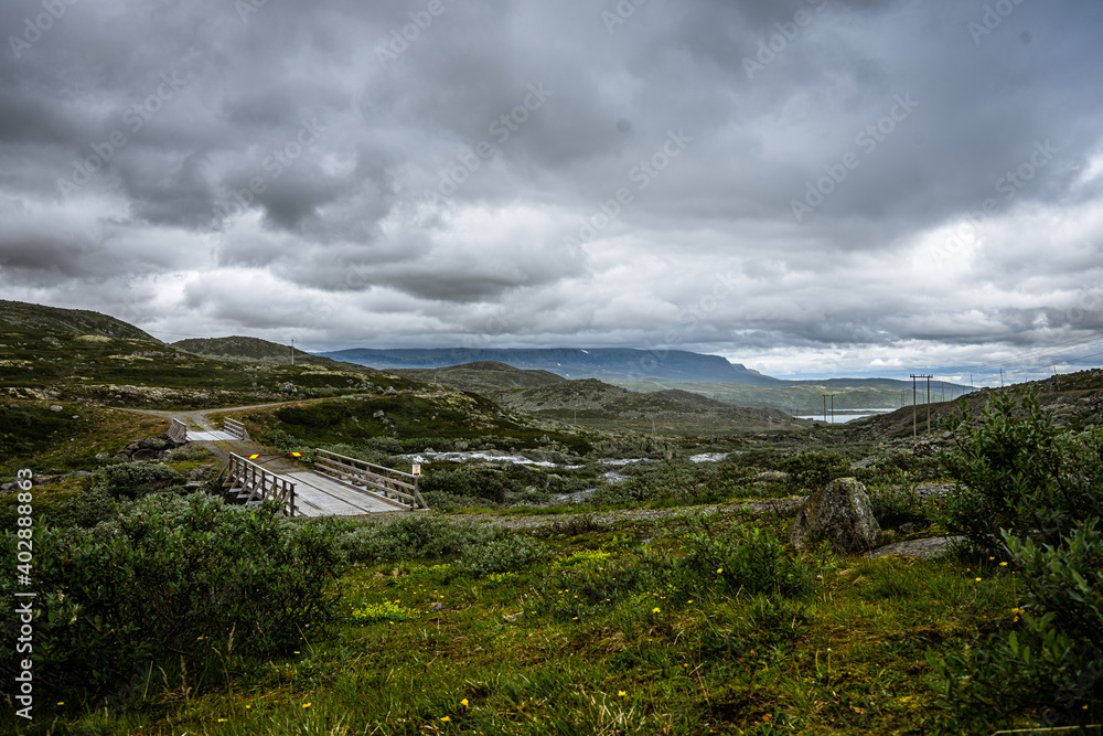 Street near a fjord through a wild landscape