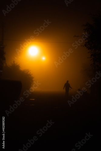 Fototapeta Naklejka Na Ścianę i Meble -  
fog on the street and a woman walks a big dog