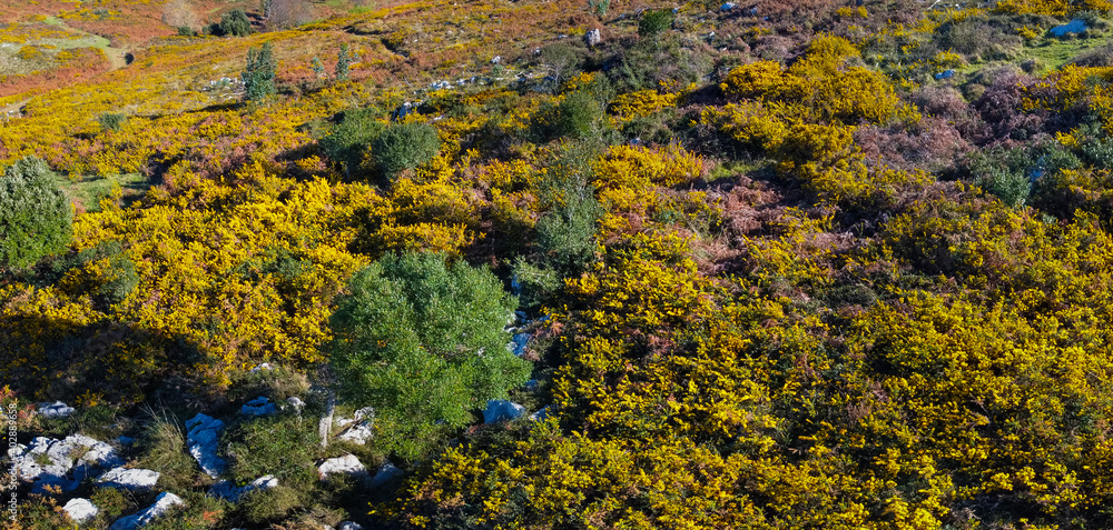 View from a drone of the landscape in the surroundings of Monte Candina in the Liendo Valley in Cantabria, Spain, Europe View from a drone of the landscape in the surroundings of Monte Candina in the Liendo Valley in Cantabria, Spain, Europe