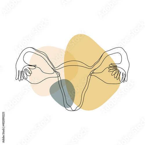 Organ of the uterus, female nature. Abstract poster in minimal style. One line drawing style. Girl power concept. Beautiful female reproductive organ. Vector illustration.