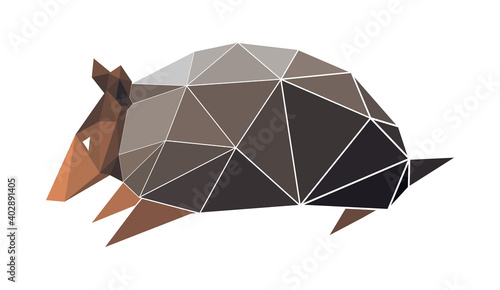 Vector armadilo in low poly style