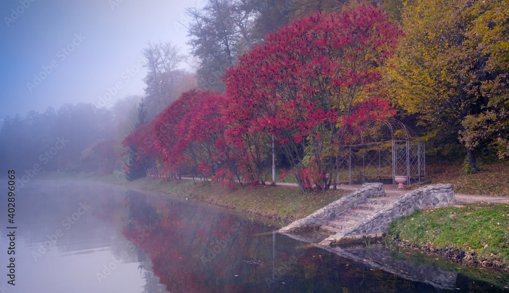 Fototapeta premium Lake in the autumn park. The forest is reflected in the water.