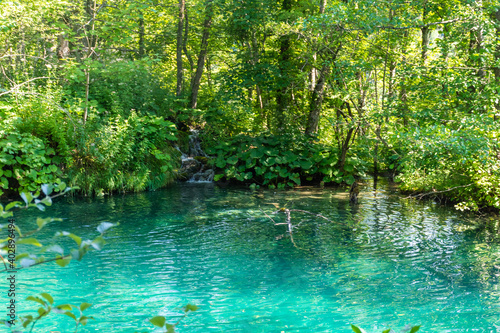 Fototapeta Naklejka Na Ścianę i Meble -  Landscape of the forest and the colorful lake in Plitvice National Park, Croatia