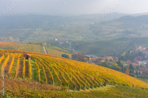 Amazing autumnal landscape in the Langhe, famous vineyard area in Piedmont Italy