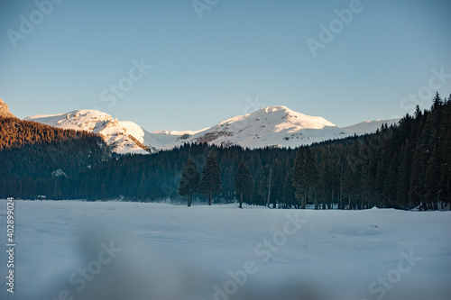 Winter landscape with a river pine forest and mountain peaks in the background on a sunny morning.