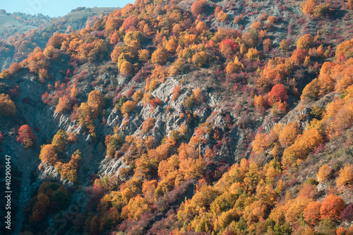 Amazing view with colorful autumn forest with asphalt mountain road at sunset. Beautiful landscape with empty road, trees and sunlight in the evening in autumn. Travel background. Nature