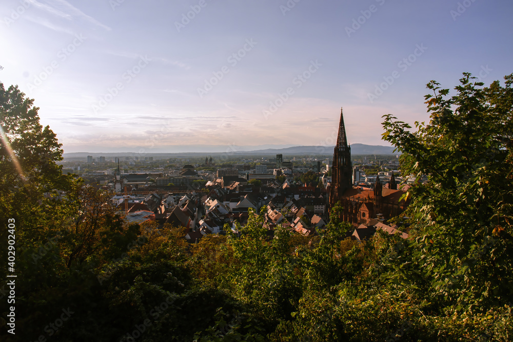 Freiburg von der Ludwigshöhe
