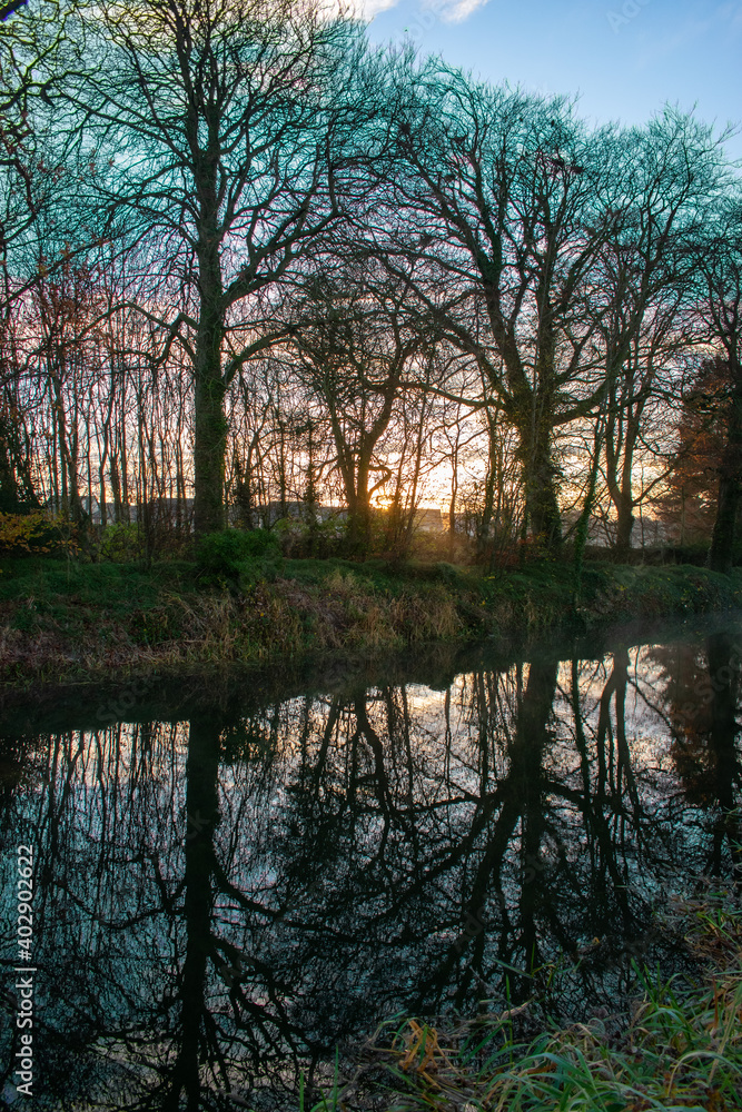 Foggy Sunrise at Irish Canal