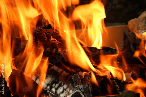 Fire. Burning fire on coals. High quality photo