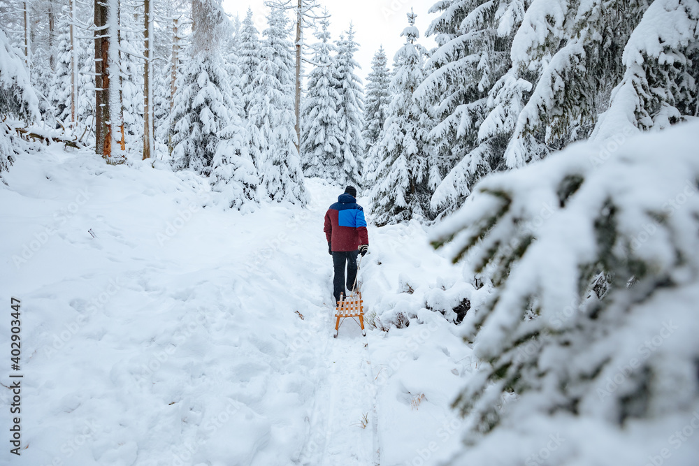 Man in ski suit pulls a sledge through a forest with a lot of snow. Forest in winter