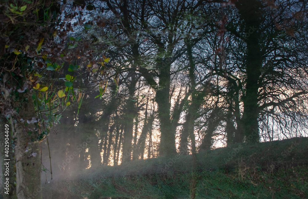 Foggy Sunrise at Irish Canal Foggy Sunrise at Irish Canal