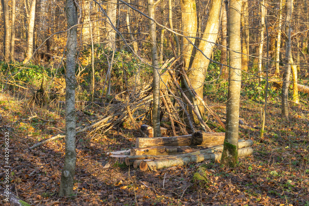 Fototapeta premium Eglinton Country Park Irvine with its frozen walks and winter bared trees with some hastily built animal shelters..