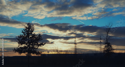 View of silhouettes if trees utility poles and grasses at dusk